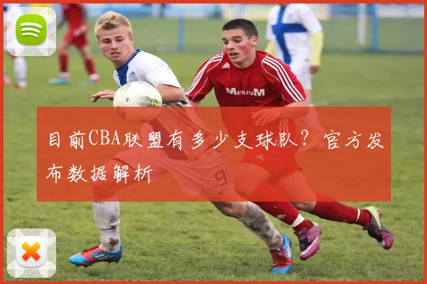 目前CBA联盟有多少支球队？官方发布数据解析