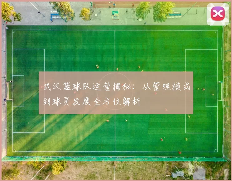 武汉篮球队运营揭秘：从管理模式到球员发展全方位解析