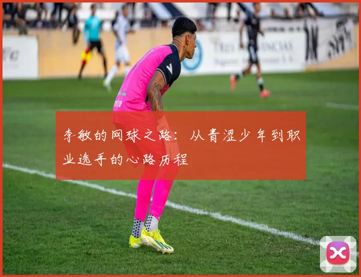 李敏的网球之路：从青涩少年到职业选手的心路历程