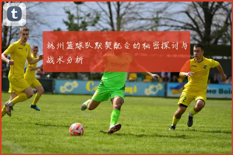 杭州篮球队默契配合的秘密探讨与战术分析