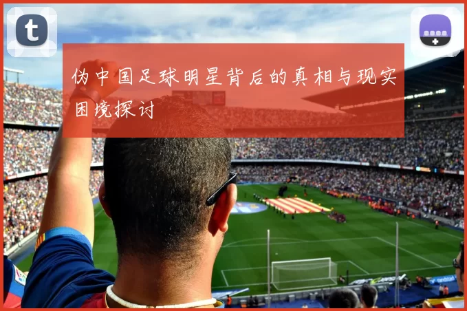 伪中国足球明星背后的真相与现实困境探讨