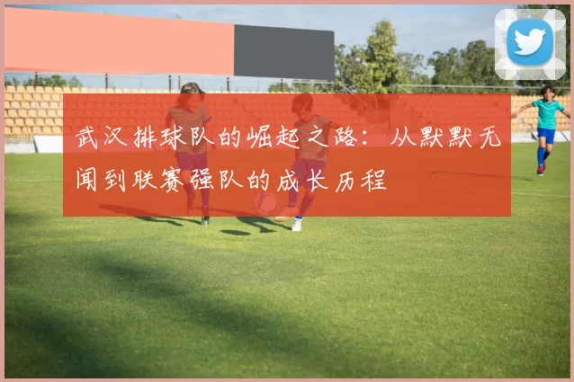 武汉排球队的崛起之路：从默默无闻到联赛强队的成长历程
