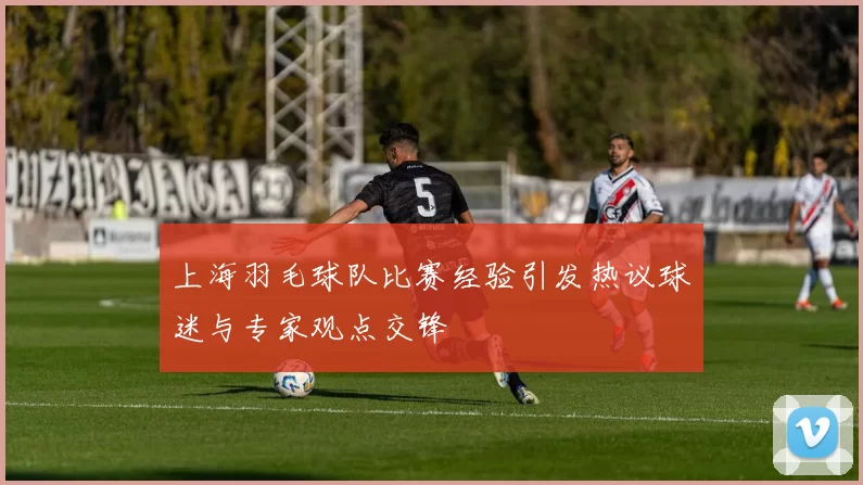 上海羽毛球队比赛经验引发热议球迷与专家观点交锋
