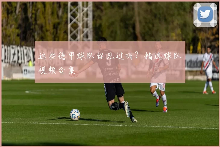 这些德甲球队你见过吗？精选球队视频合集