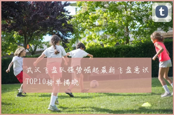 武汉飞盘队强势崛起最新飞盘意识TOP10榜单揭晓