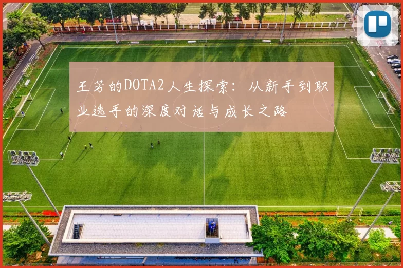 王芳的DOTA2人生探索：从新手到职业选手的深度对话与成长之路