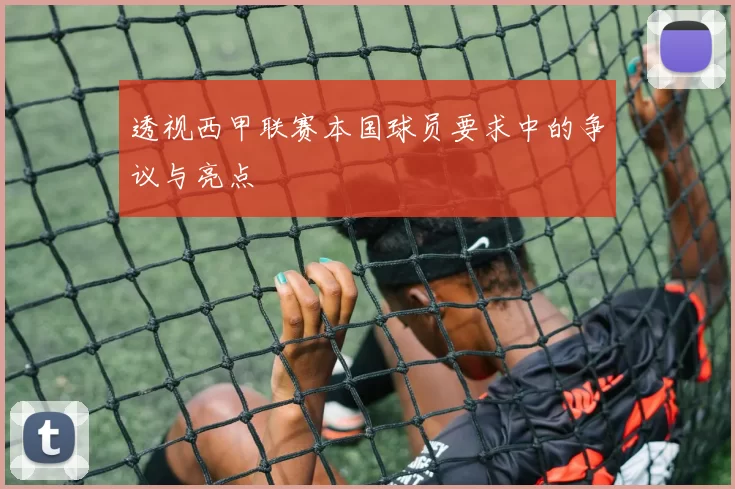 透视西甲联赛本国球员要求中的争议与亮点