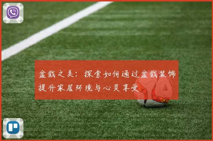 盆栽之美：探索如何通过盆栽装饰提升家居环境与心灵享受