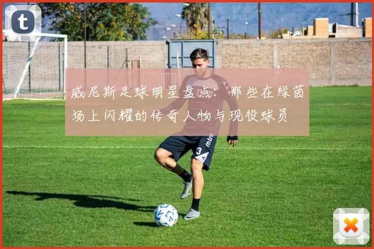 威尼斯足球明星盘点：那些在绿茵场上闪耀的传奇人物与现役球员